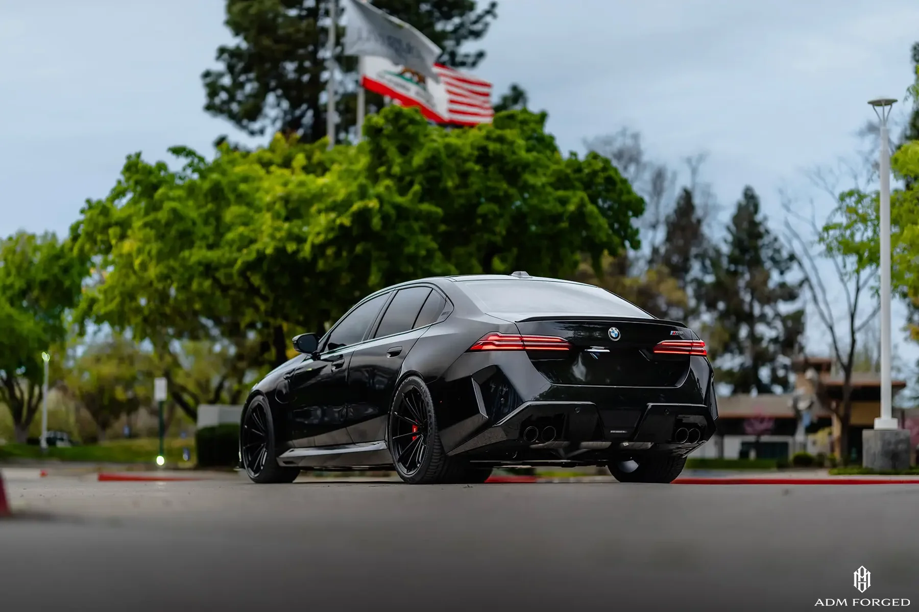 BMW M5 — Rear View